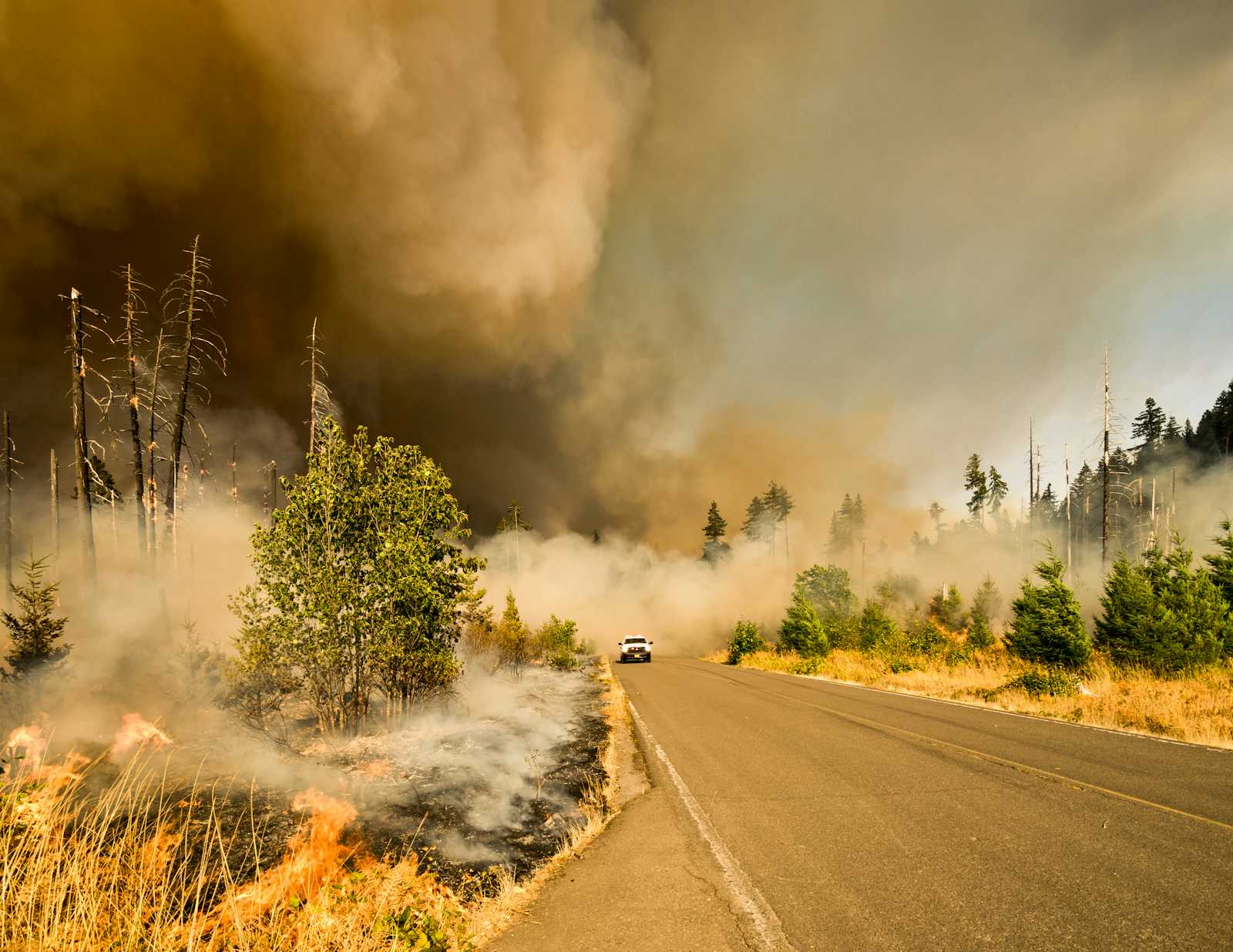 New sensors co-developed by Google aim to detect wildfires everywhere much faster