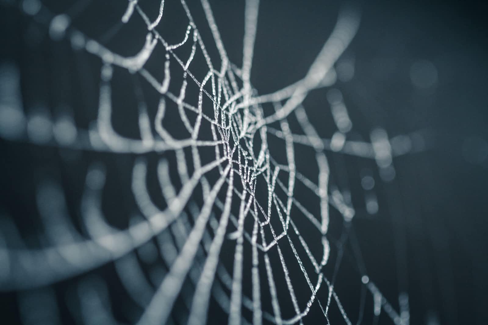 The Art of Meta Tags: Elevating Your SEO Game.
