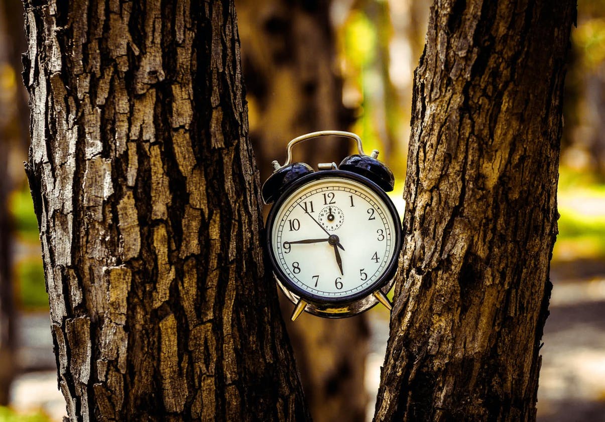Украина перевела часы на летнее время. Часы лето. Экологический будильник. Летнее время. Вечерние часы.