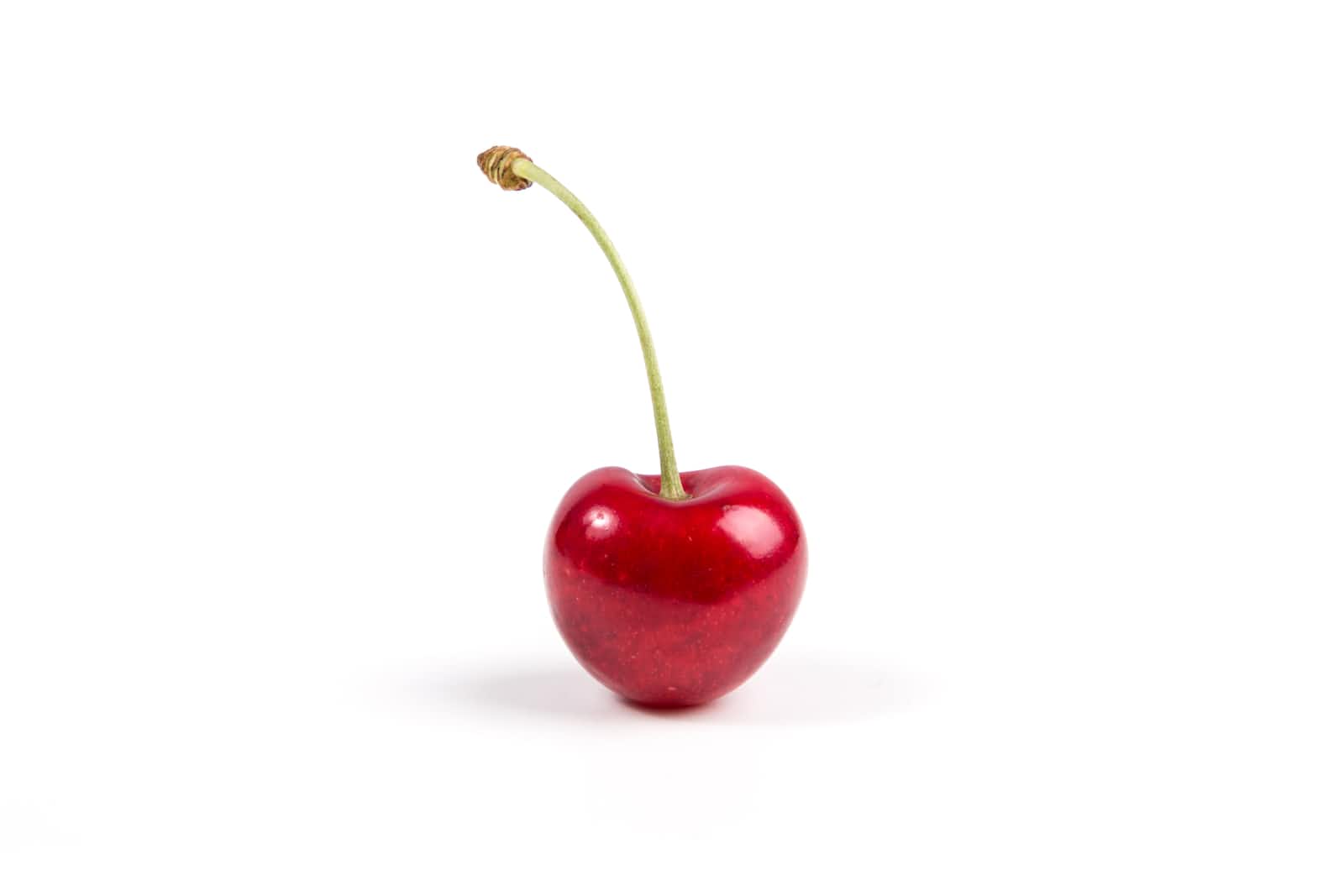 Understanding Object-Oriented Programming: A Comprehensive Guide
