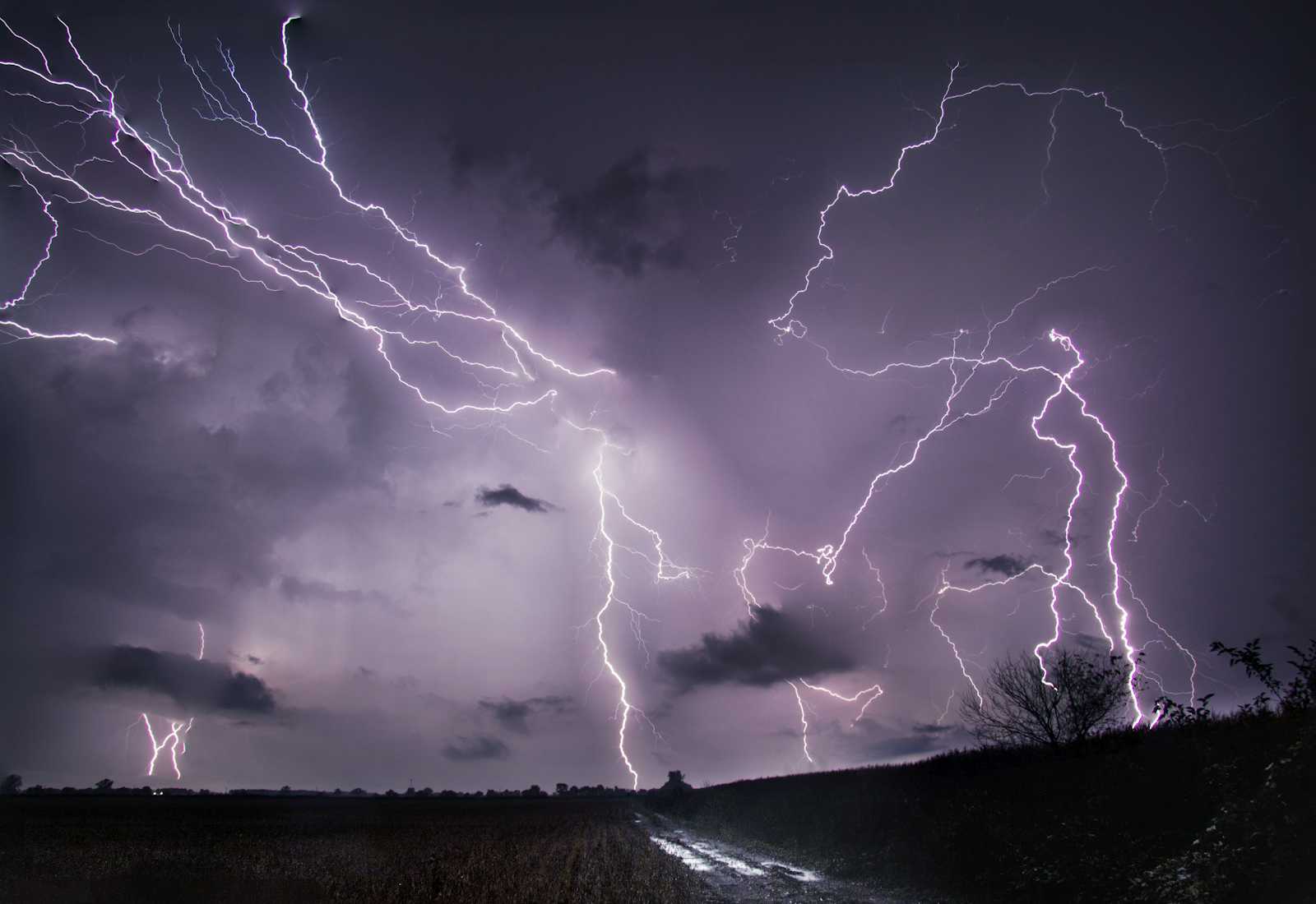 Legacy of the Skies: Dr. S.K. Banerji and the Dawn of Modern Meteorology in India