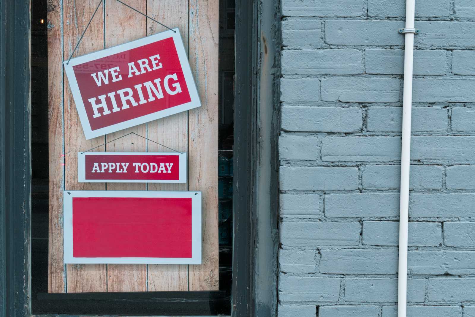 2024 Employment Patterns