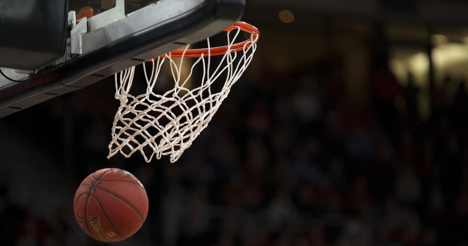A Slam Dunk: The ROI of Localization Software