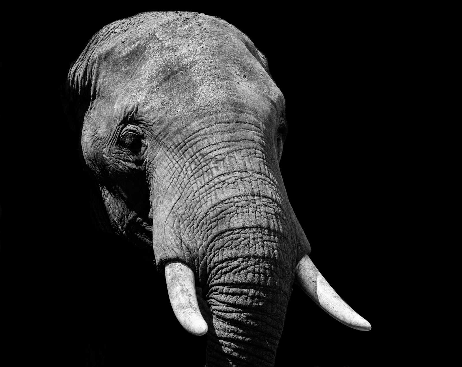 Generate scheduled backups of a PostgreSQL database