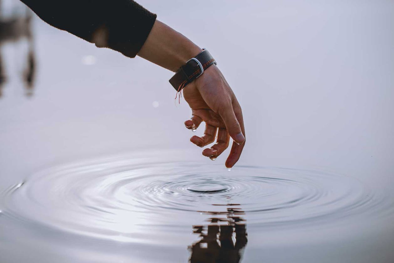 The Ripple Effect: Understanding Language and Influence