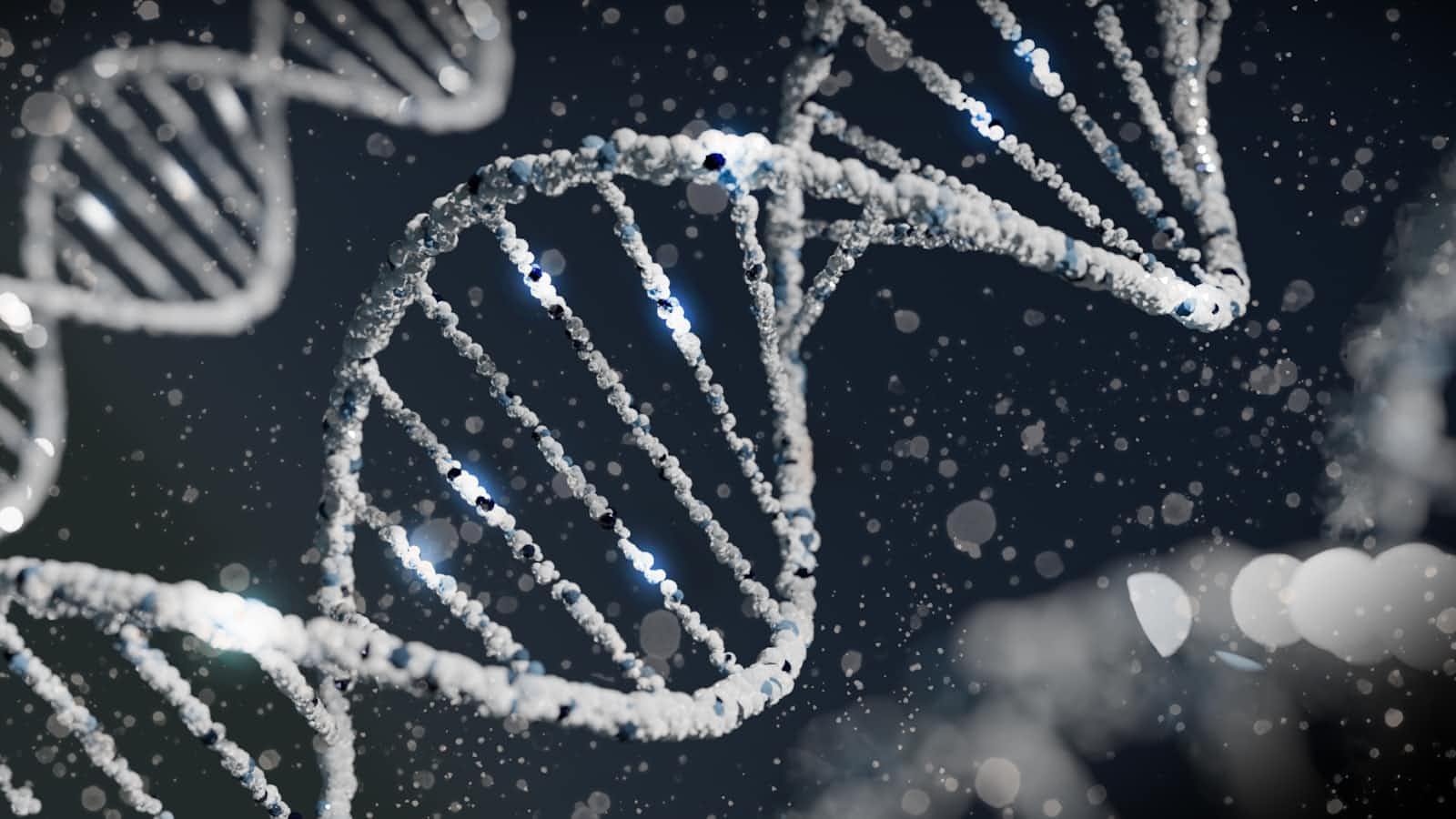 Genetic Testing for Health Risks