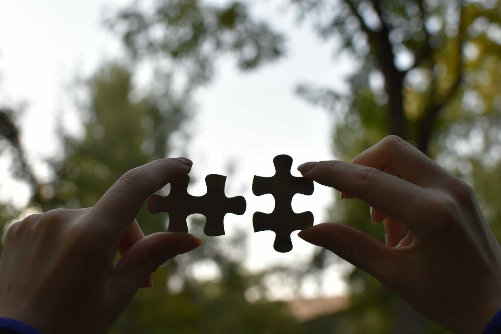 The Tale of Two Retrievers: Building a Hybrid Search That Actually Works 🕵️‍♀️