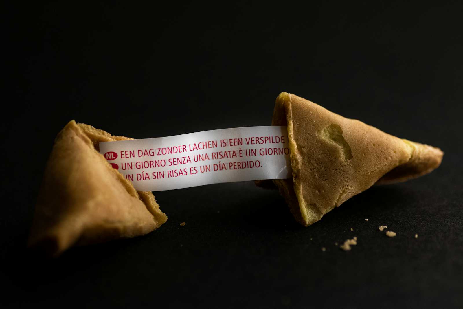 AI Chatbots: The Perpetual Fountain of Fortune Cookie Insights