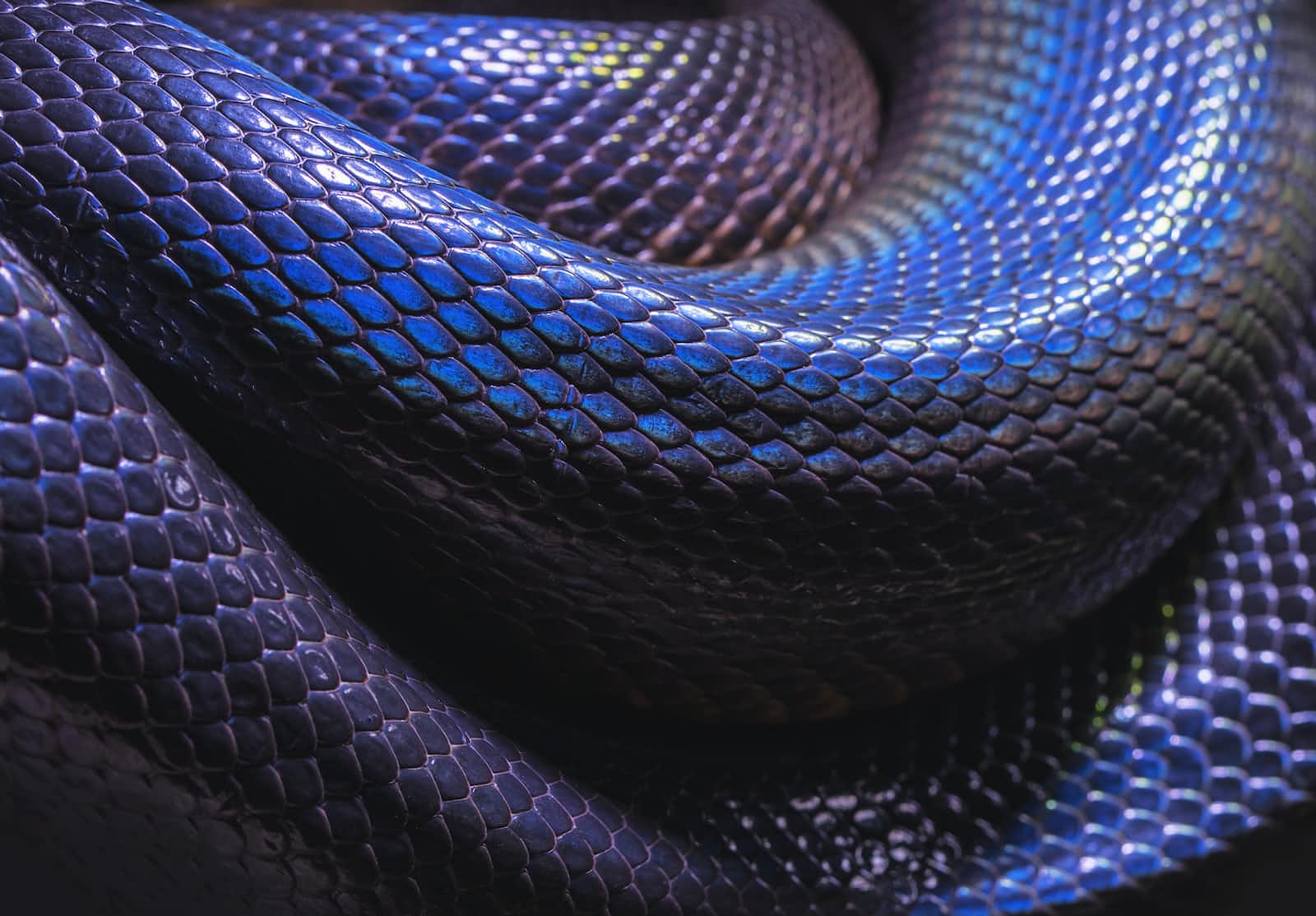 Heard about limitations of Python?