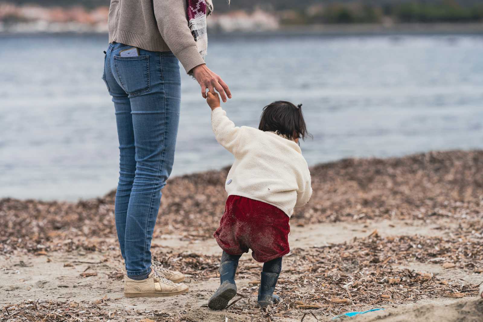 Key Skills and Knowledge Every Professional Can Gain from Adoption Training