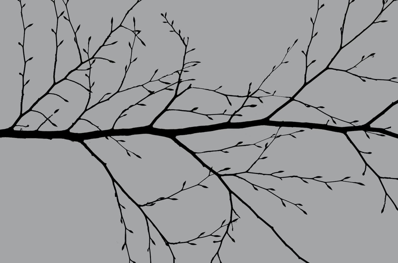 Building Decision Tree