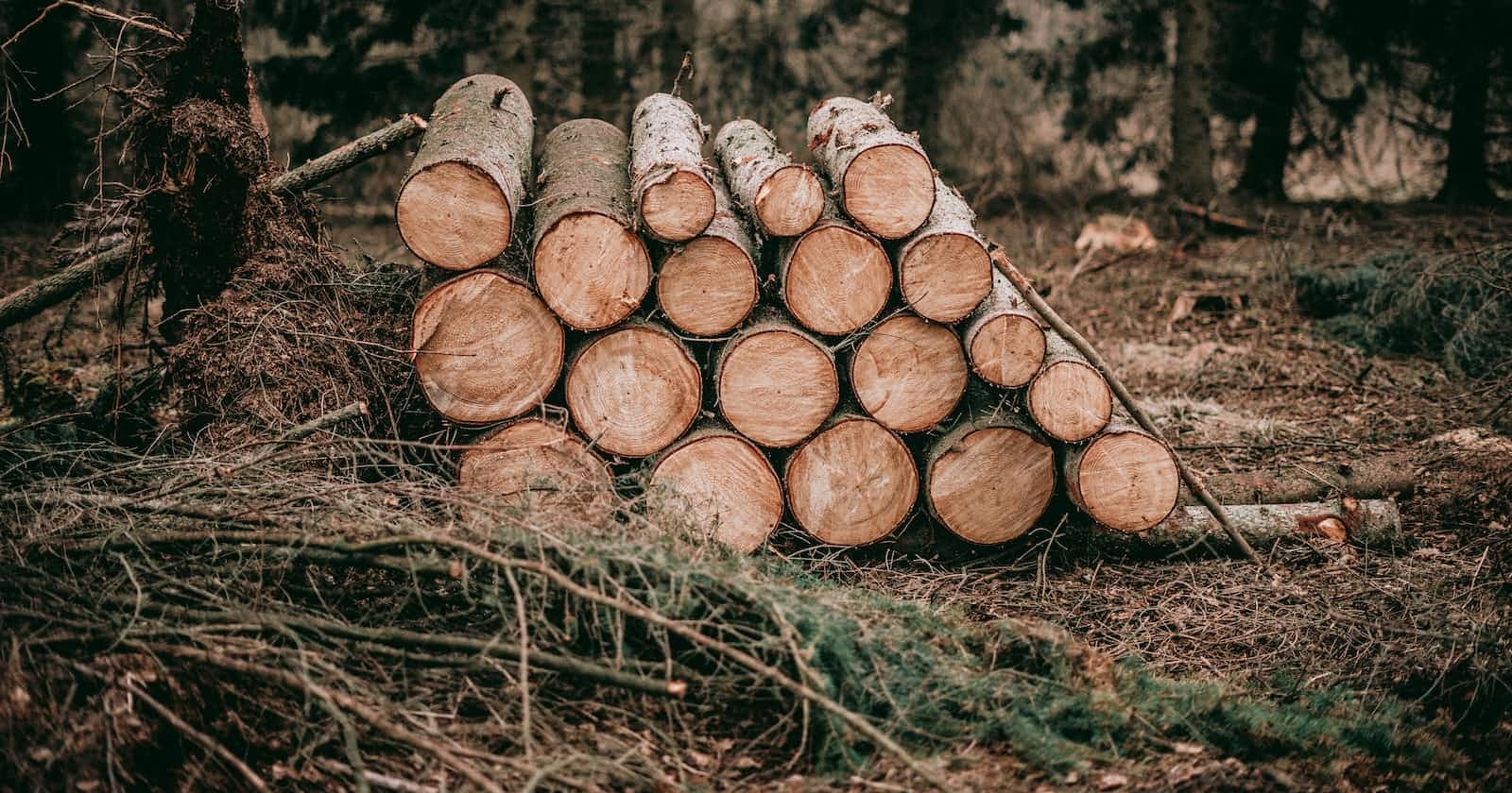 Reduce Azure Log Analytics Cost by Tweaking Health Checks Logging