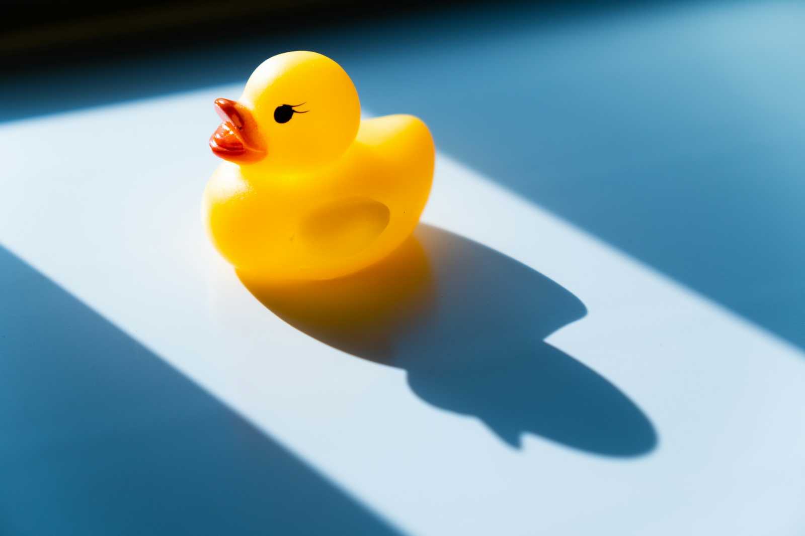 CS50P: how the way of the duck changed me.