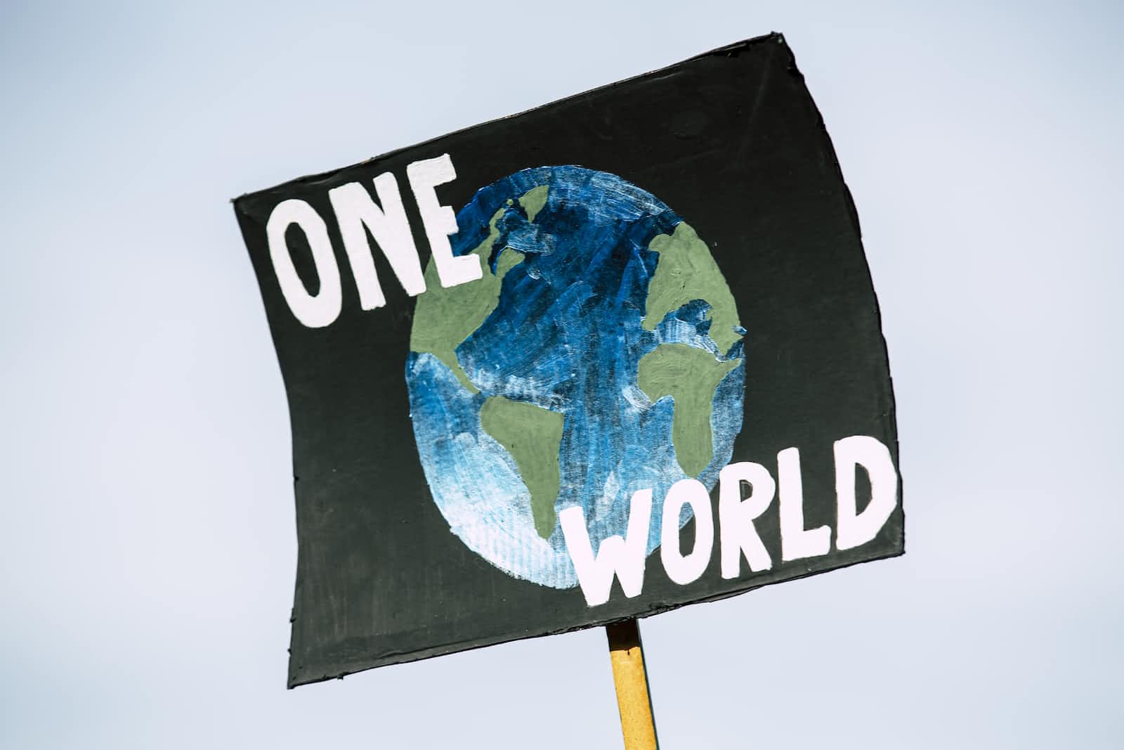 Role of AI in the future of Climate Education