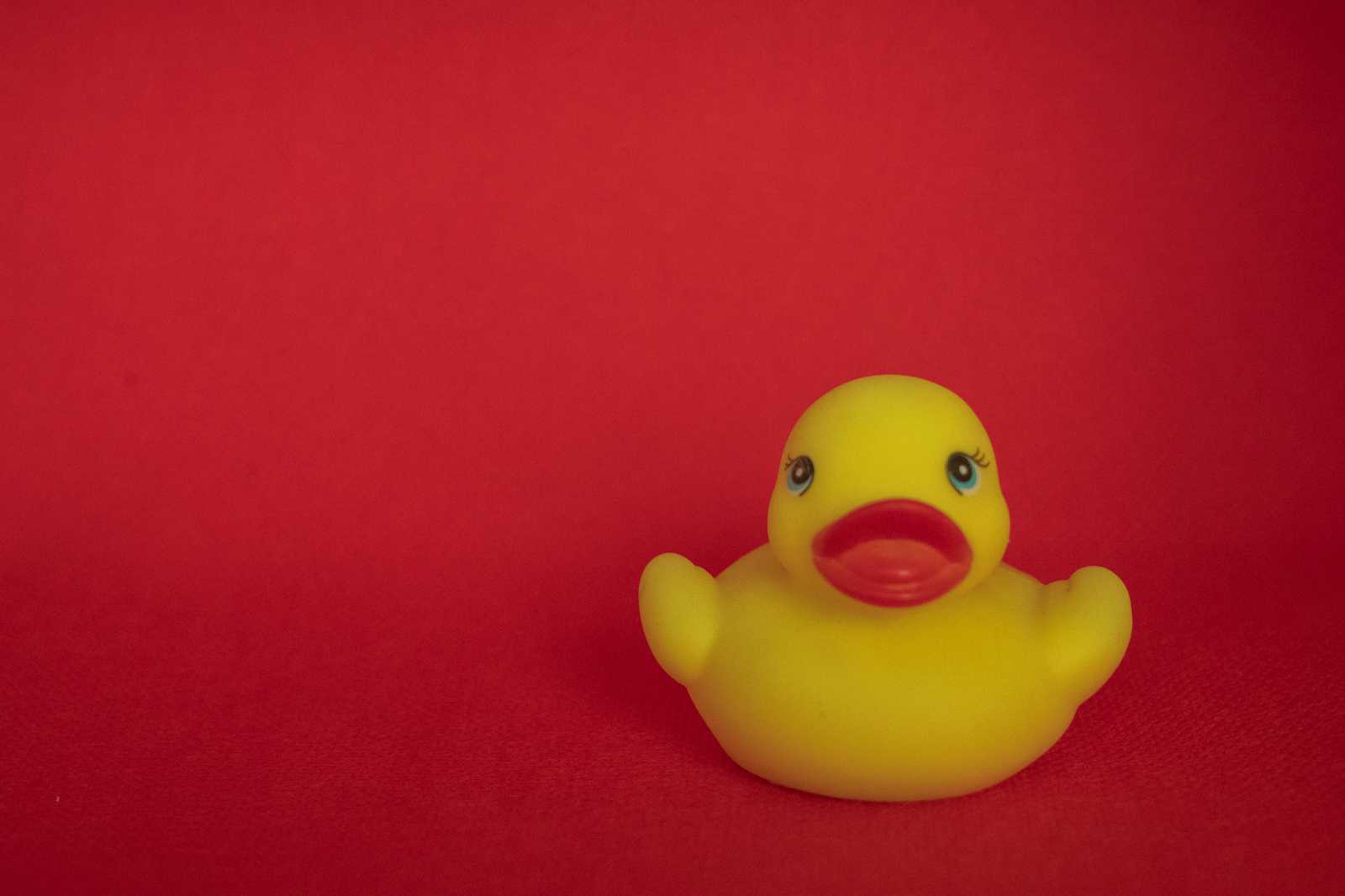 Not All Rubber Ducks are Created Equal