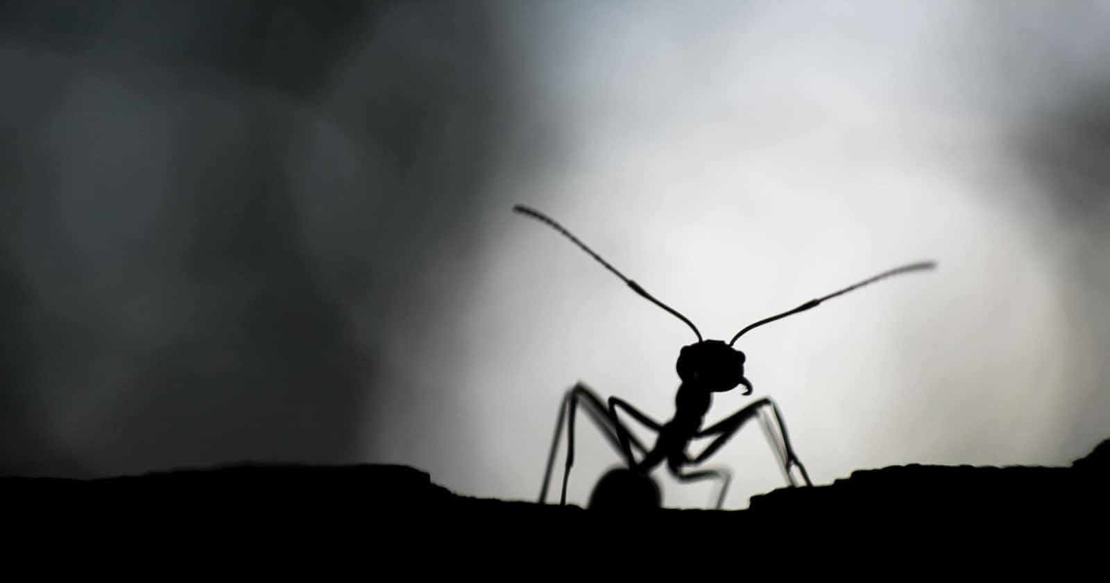 Learning animations in JavaScript with a marching ant