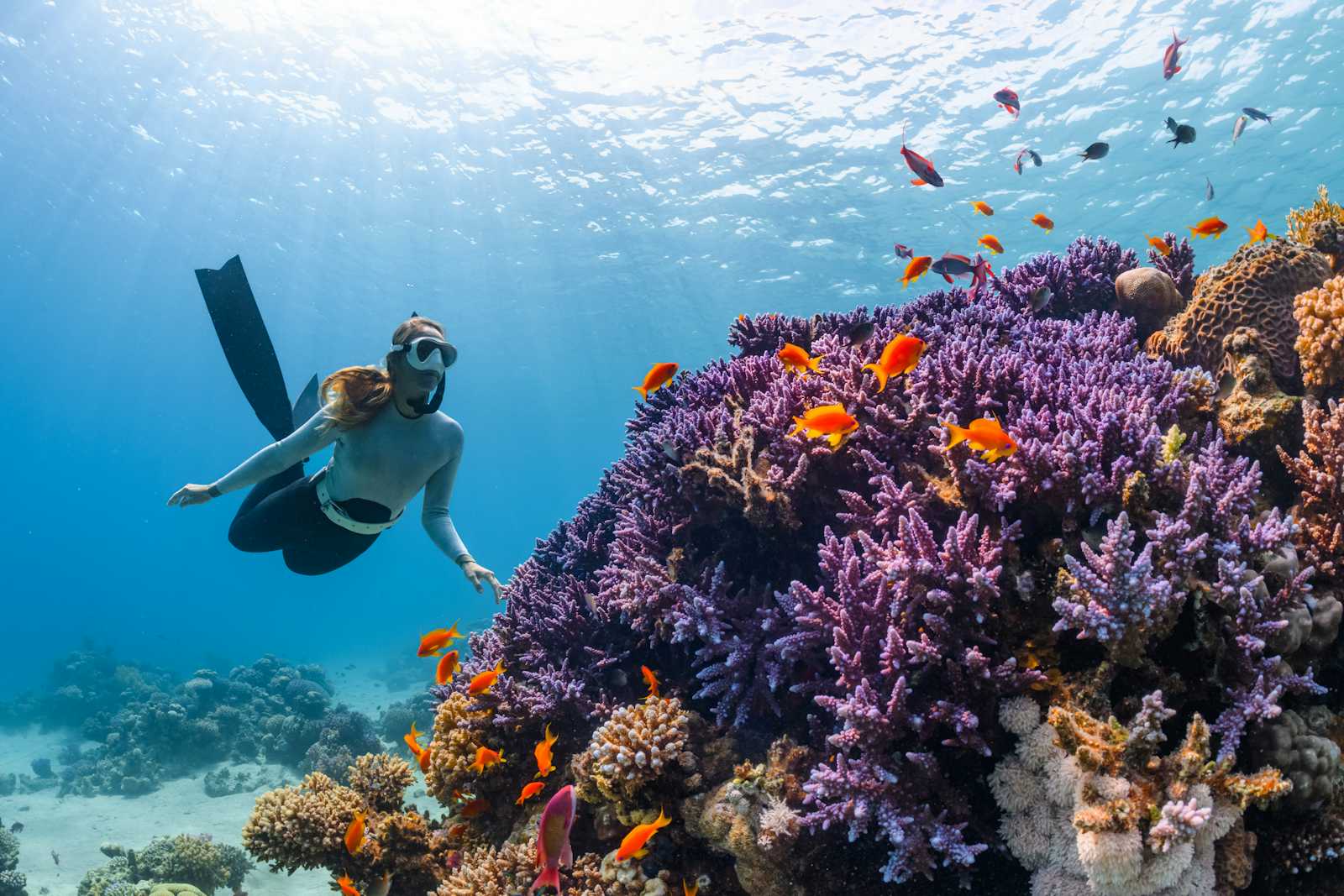Dive Into Exciting Opportunities: Explore Freediving Jobs Today!