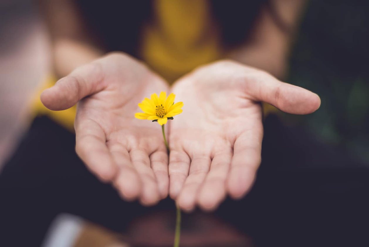 The Power of Generosity: How to Be More Kind, Happy, and Connected