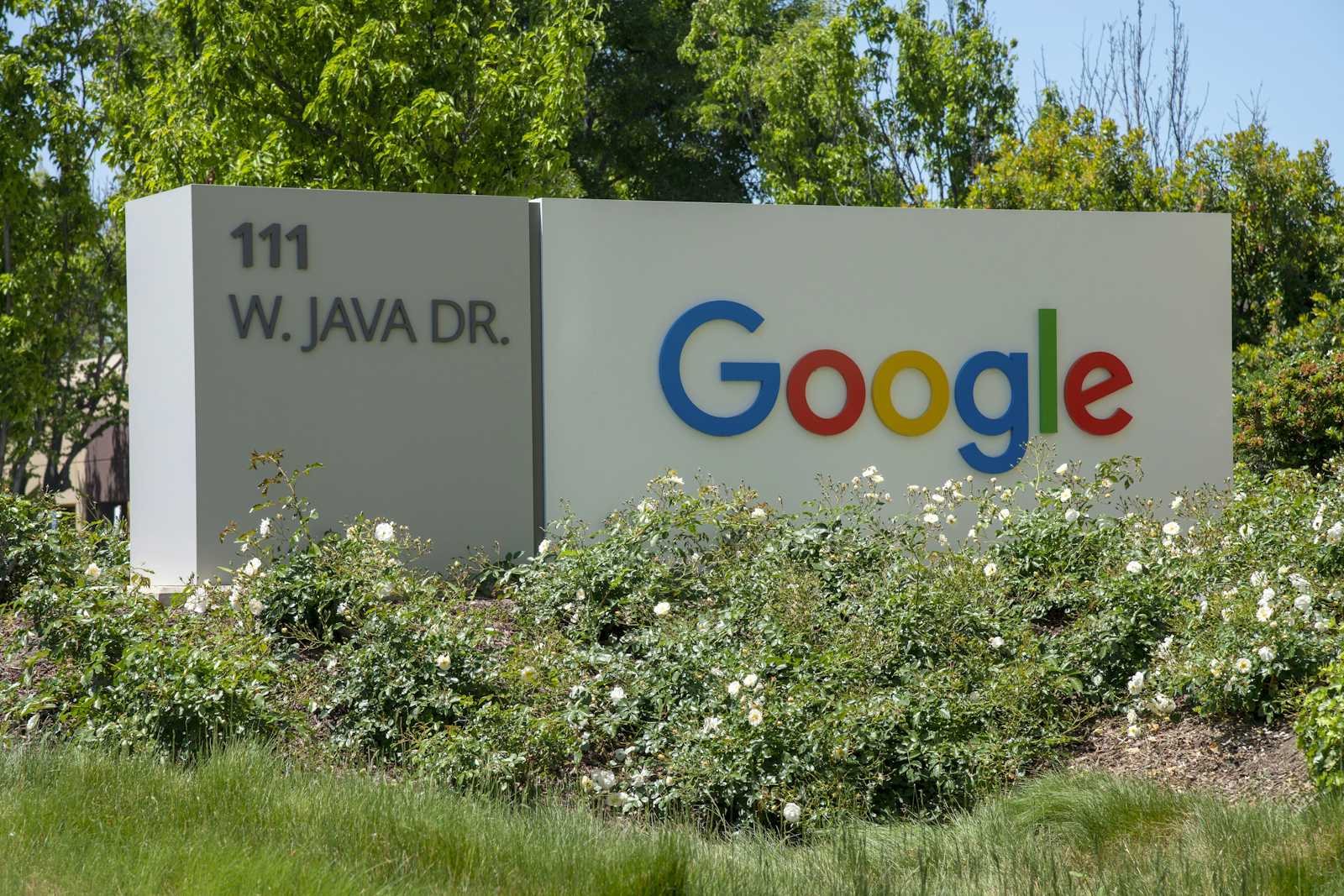 Google Appoints New Leader for Search and Advertising Division