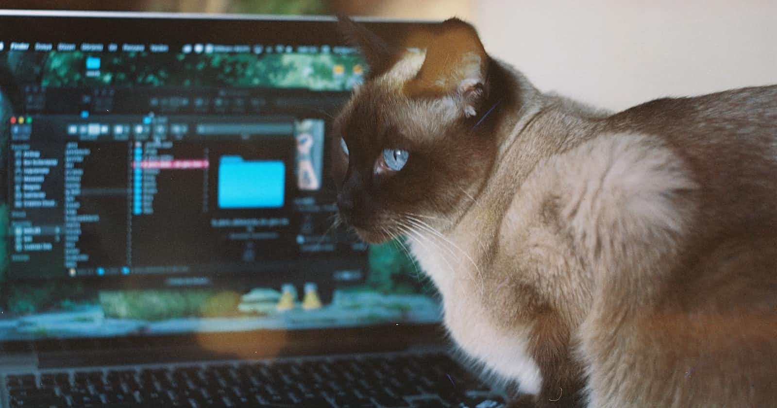 Cat : A Bare-bones "Editor"