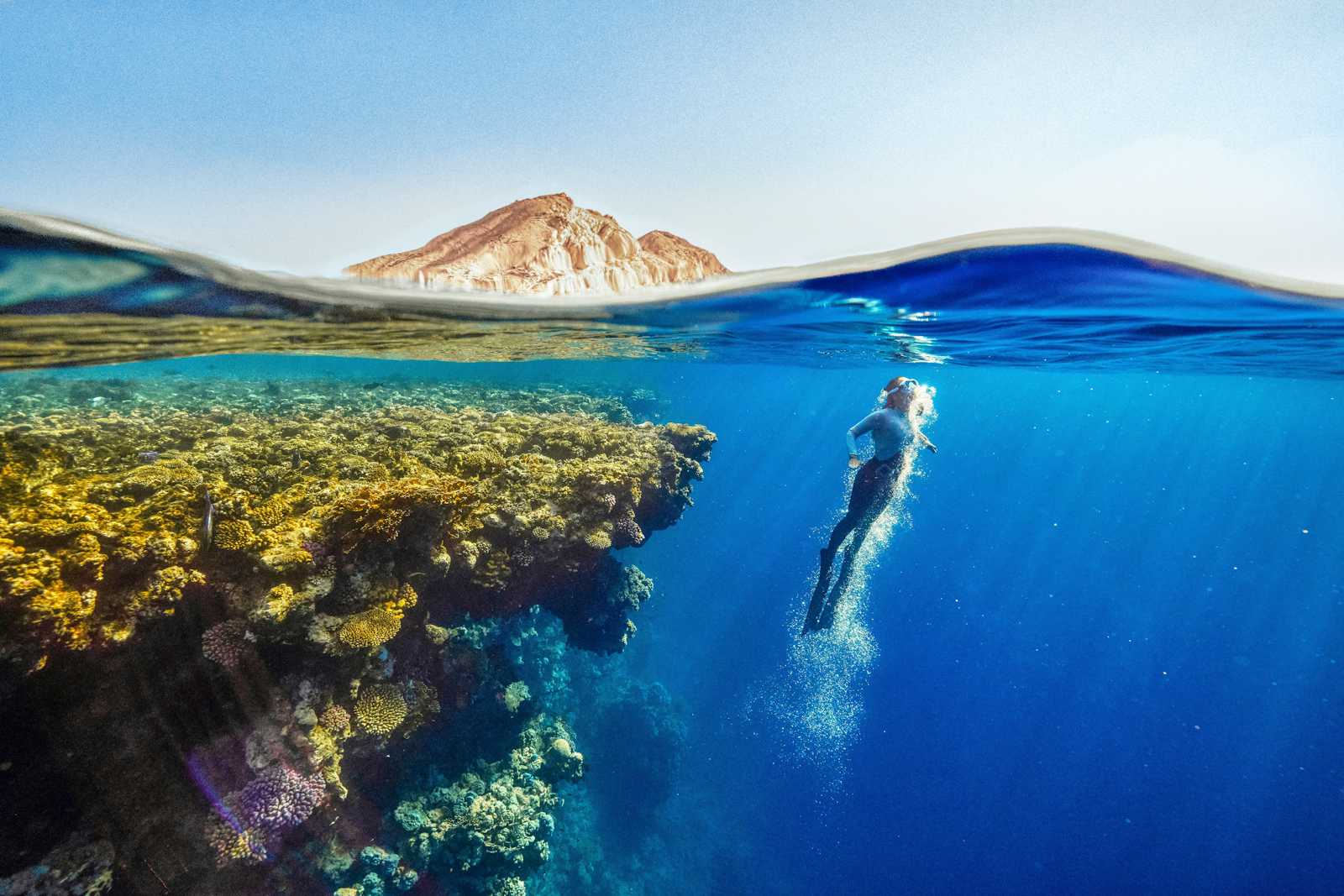 Discover the Underwater Wonders: Shore Dive Sydney