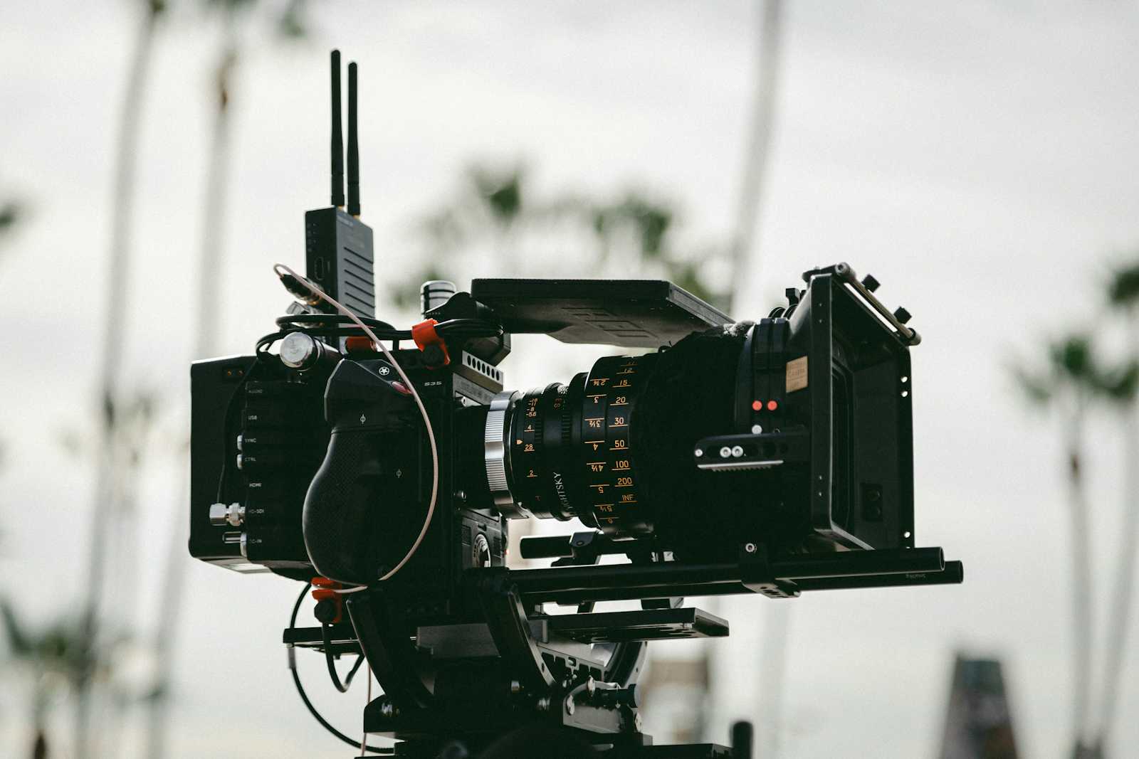 Generated Instantly: Generate Unlimited Great Short Videos That Actually Go Viral on Social Media With Vid Ai