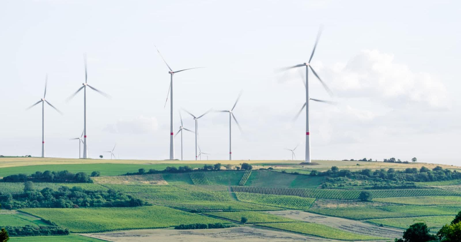 Windmolens - De verborgen kosten van zogenaamde groene energie