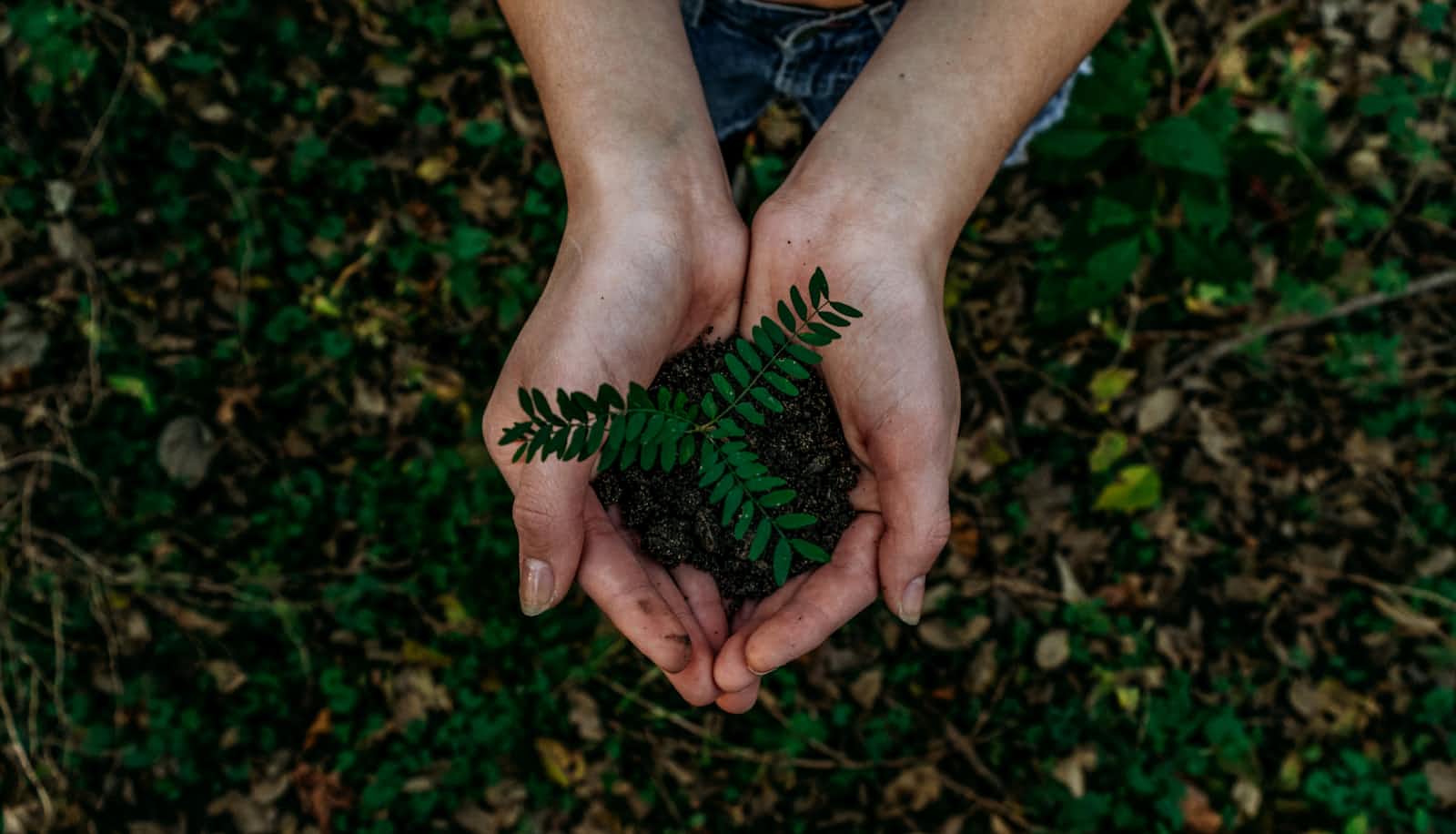 The Journey to Zero Waste: Redefining Environmental Stewardship