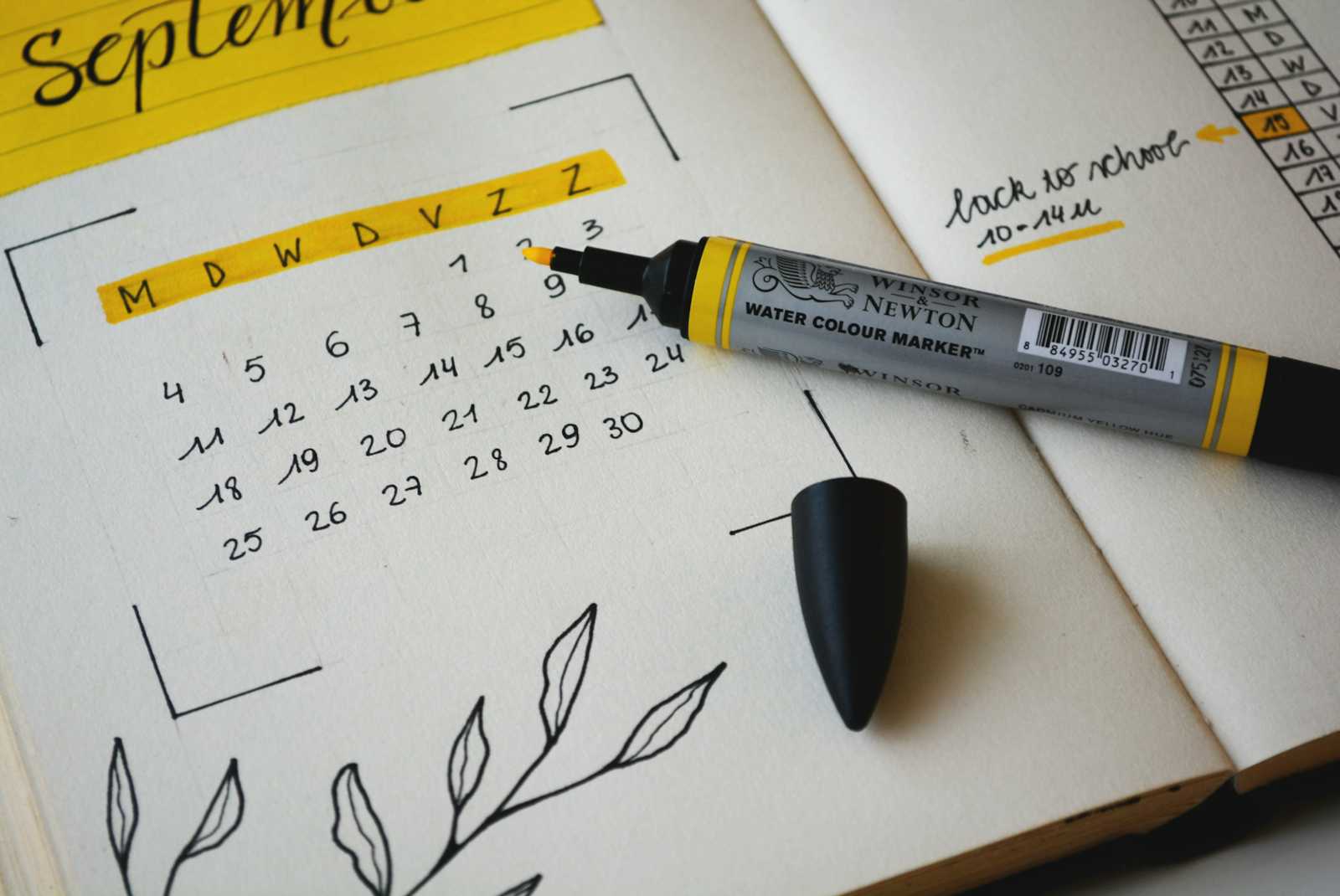 Scheduling Tasks with Cron