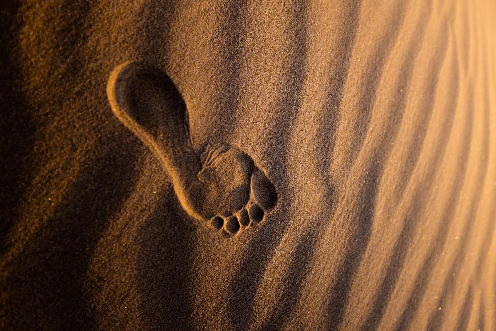 Footprints in the Mind of the Computer: An illustrative explanation of Variables and Data types