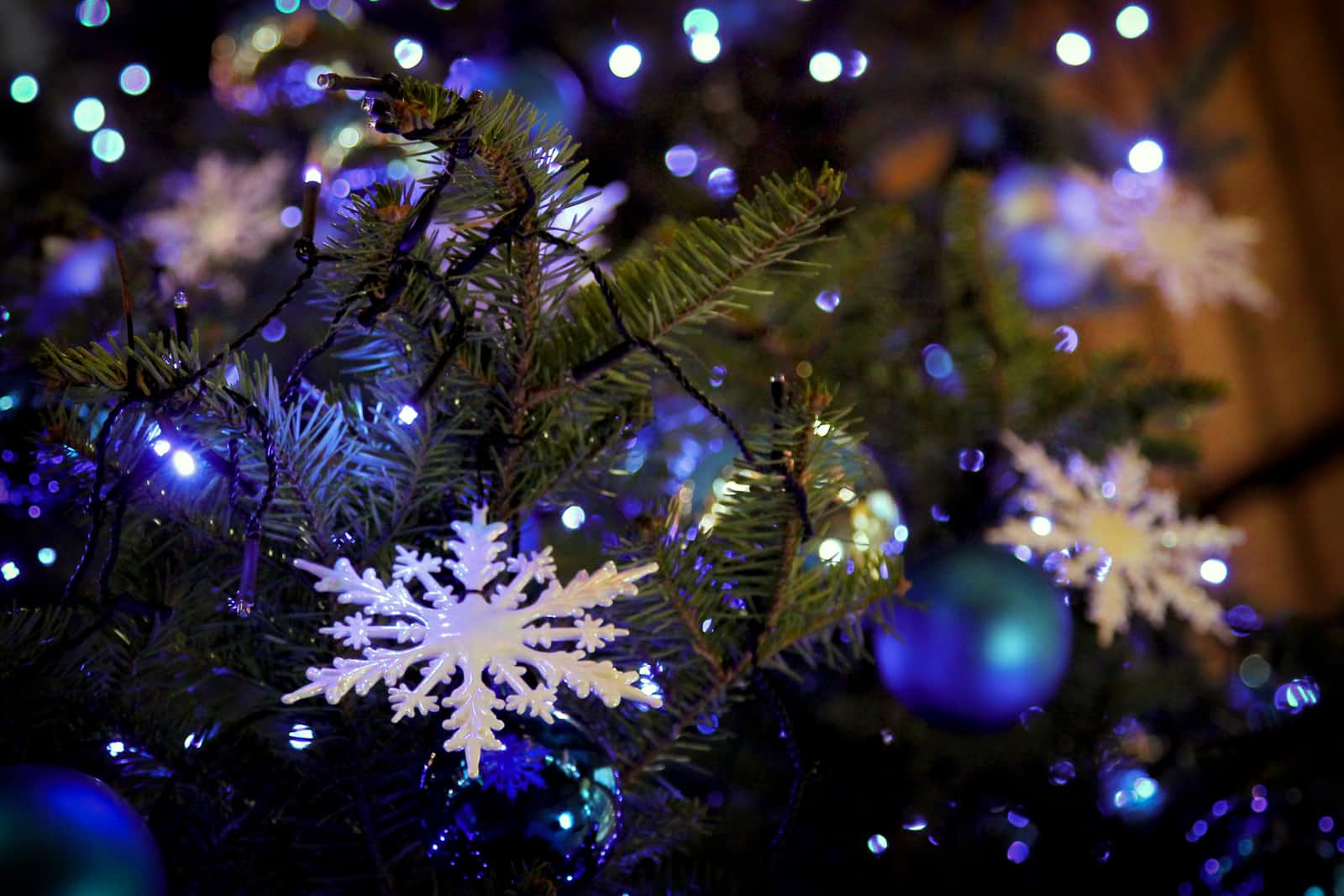Advent Of Code 2021 - Day 11