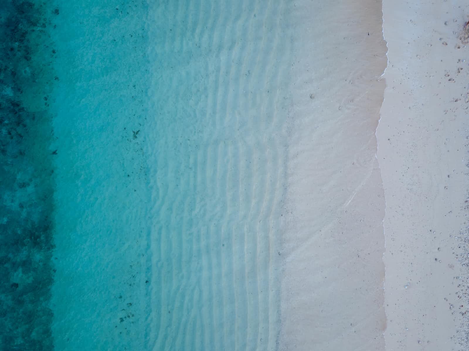 What you need to know on CSS Transitions