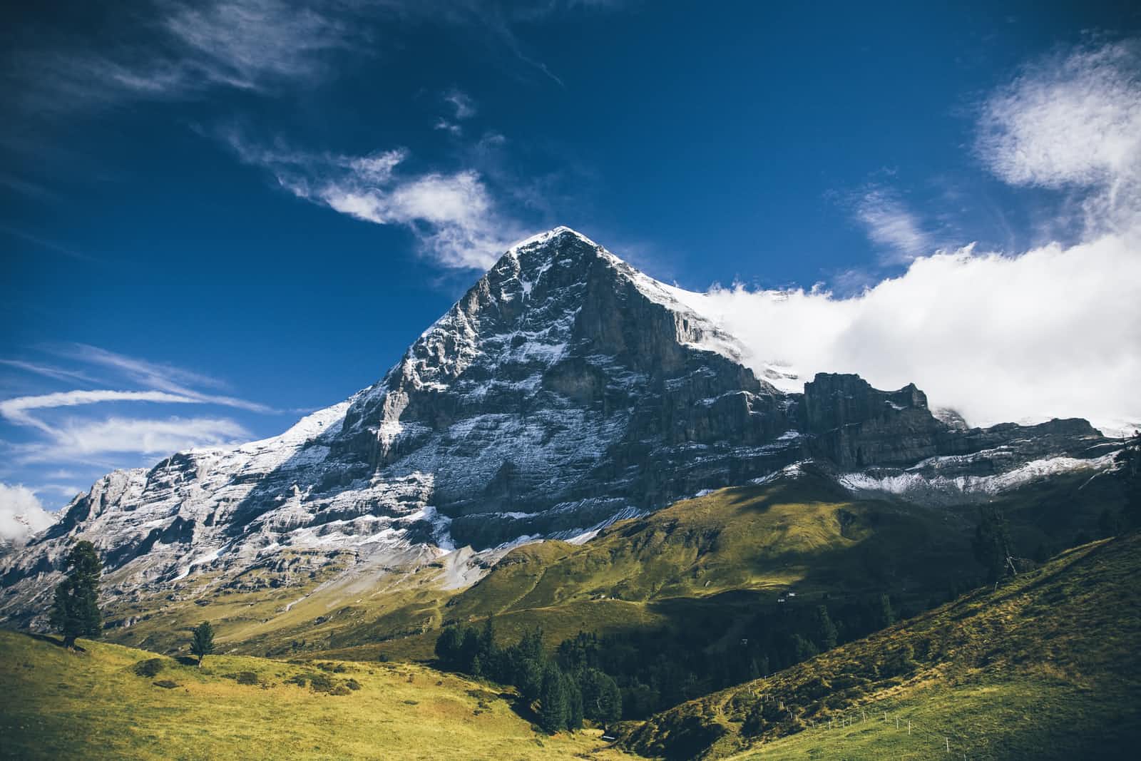 Exploring The Open Source World - What Is Moja FLINT All About, Anyways? 1/🧵