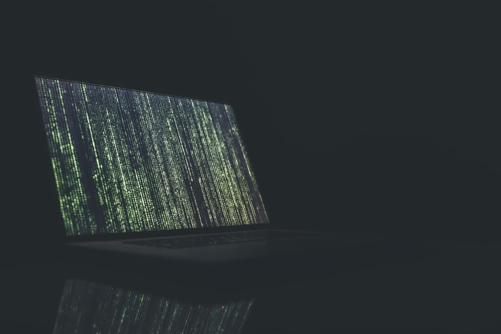 Software Security Principles
