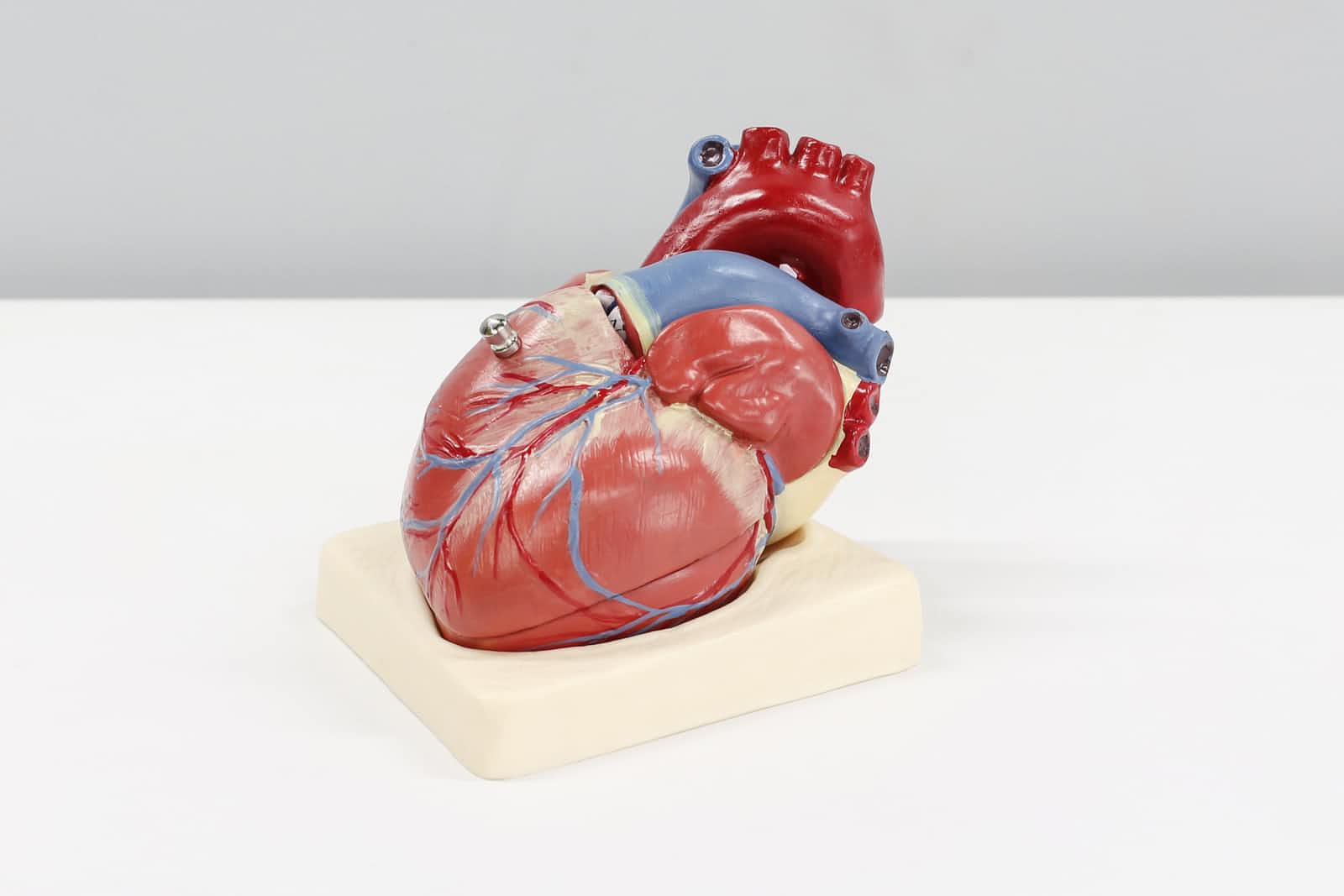 Matters of the Heart: Predicting the Likelihood of Heart Diseases with Machine Learning