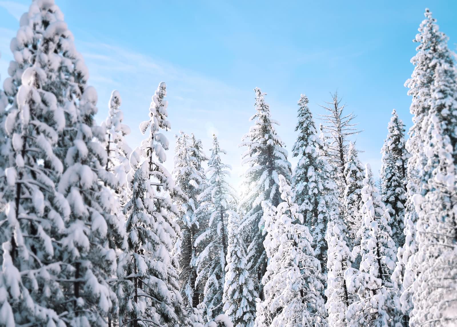 Advent Of Code 2021 - Day 10