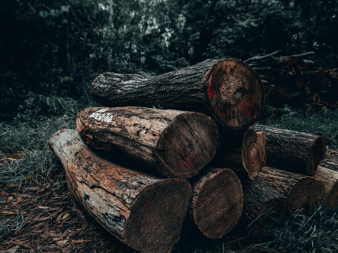 Microblog: Debug logging in Anchor and Solana