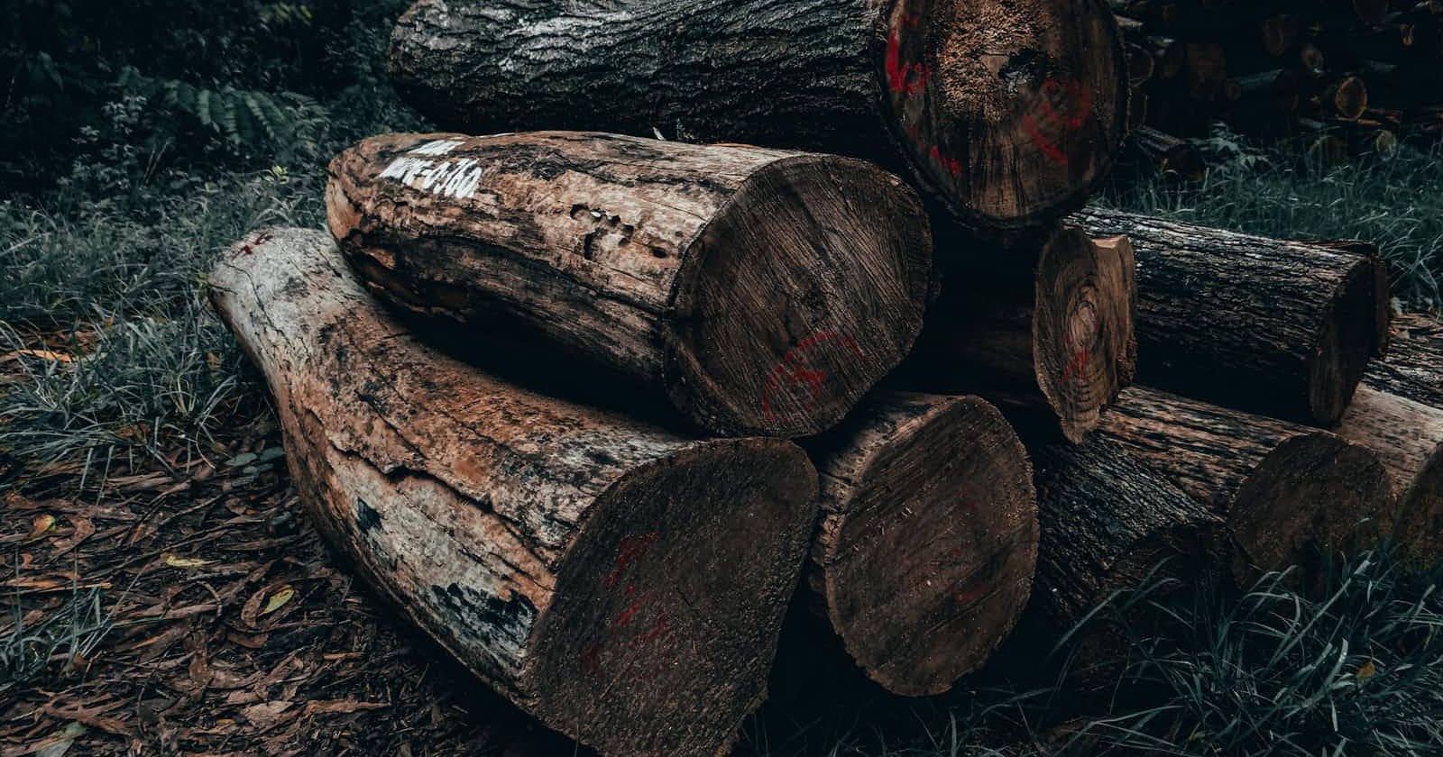 Microblog: Debug logging in Anchor and Solana