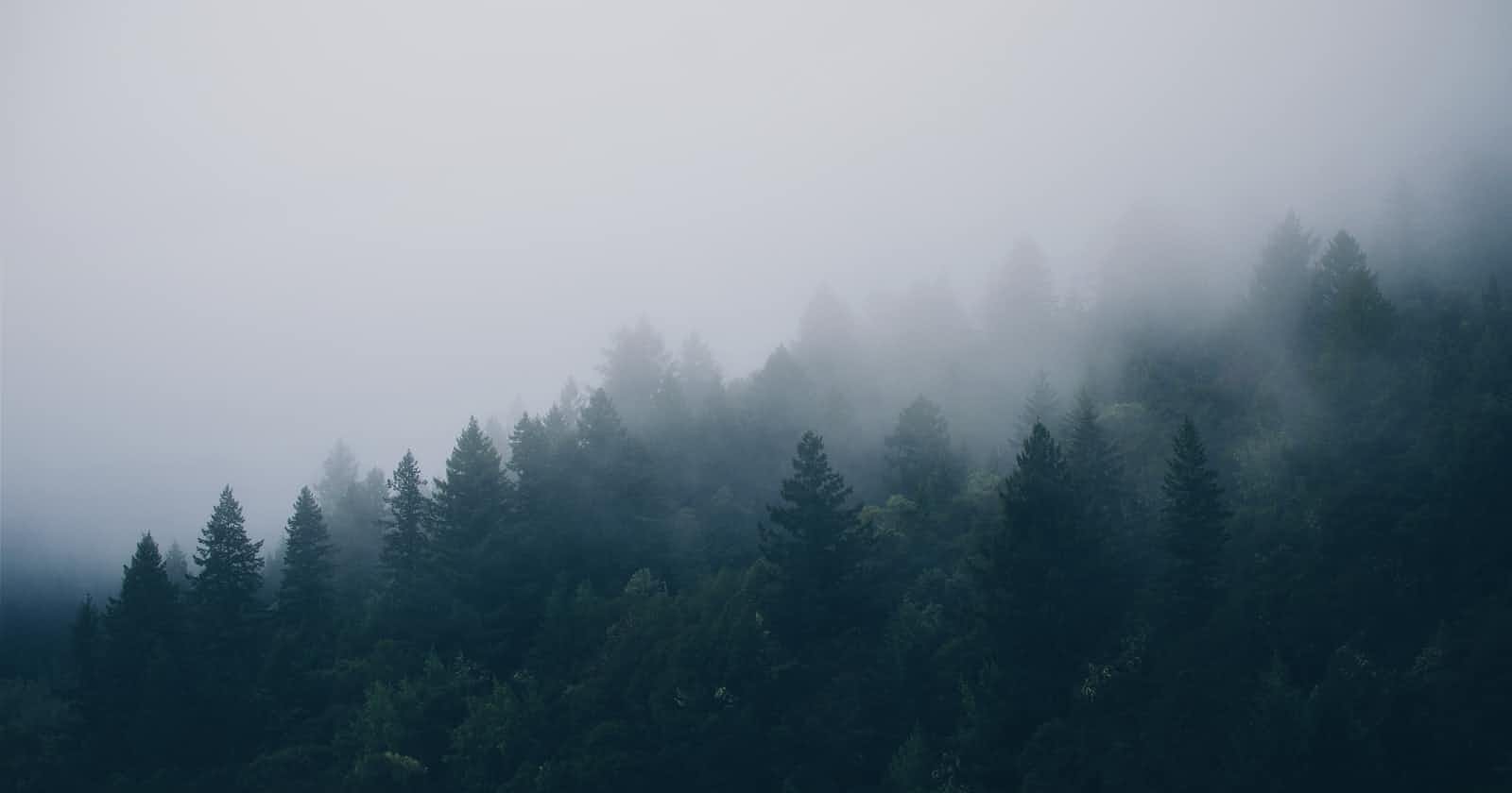 Adding Forestry CMS to an Angular Scully blog site