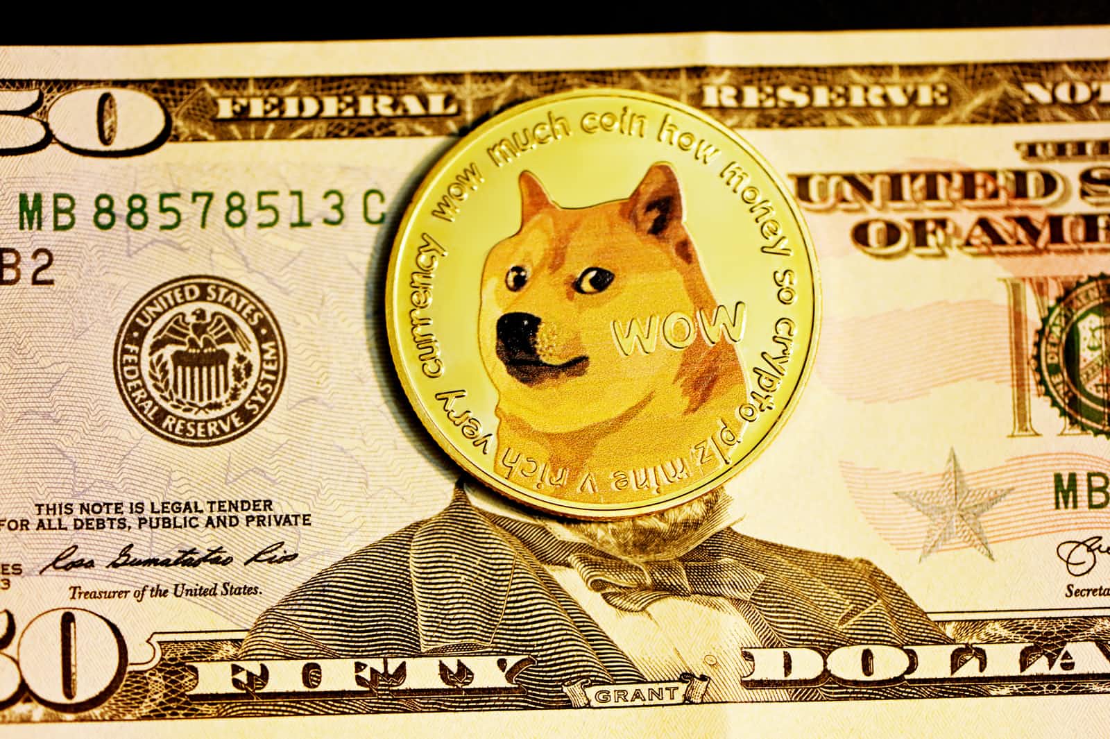 Get Price of Dogecoin using API Day 2 Coding Challenge - SebCodesTheWeb