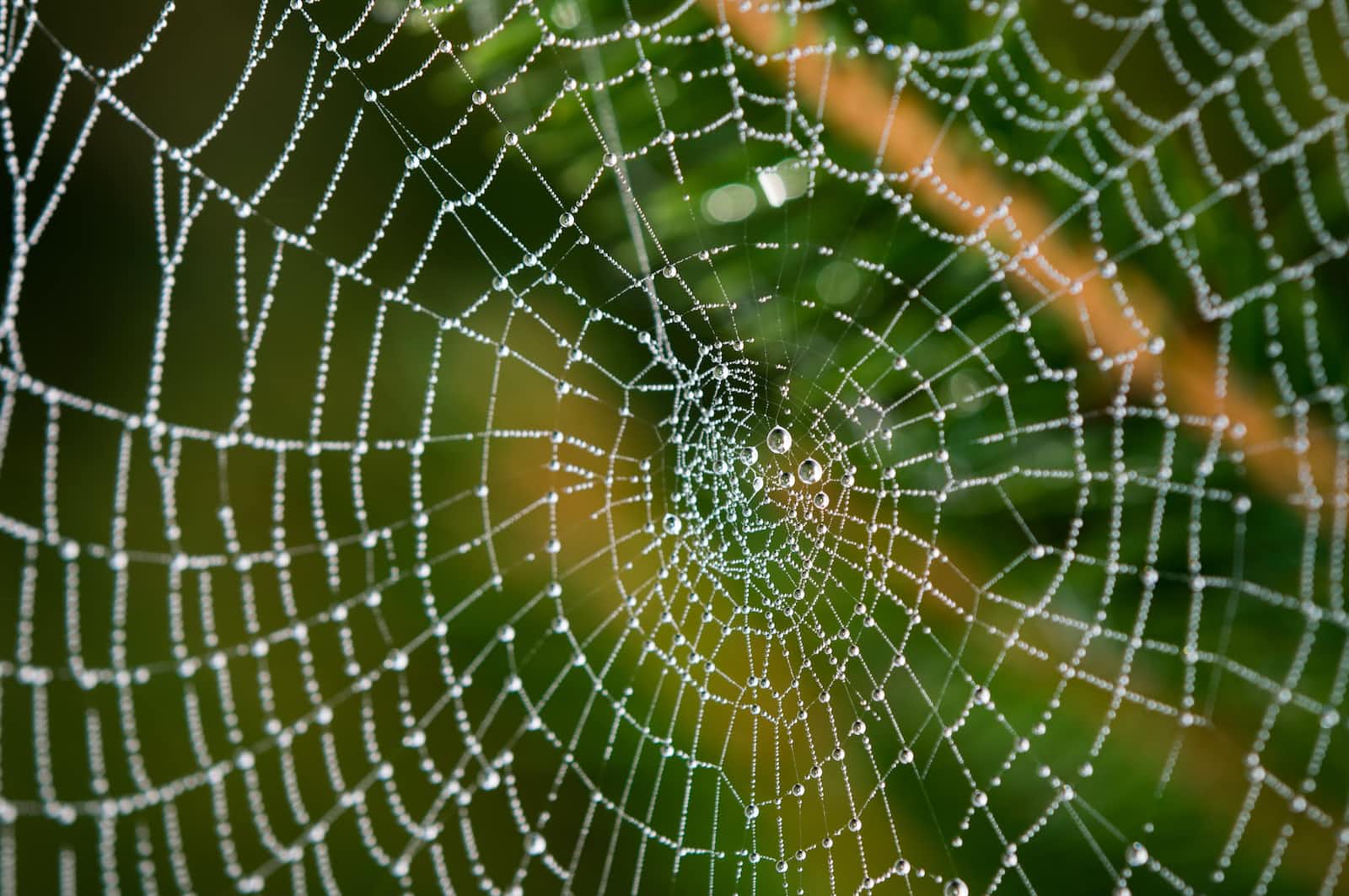 Web development – a few tools and freebies