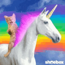 Cat riding a unicorn on a rainbow