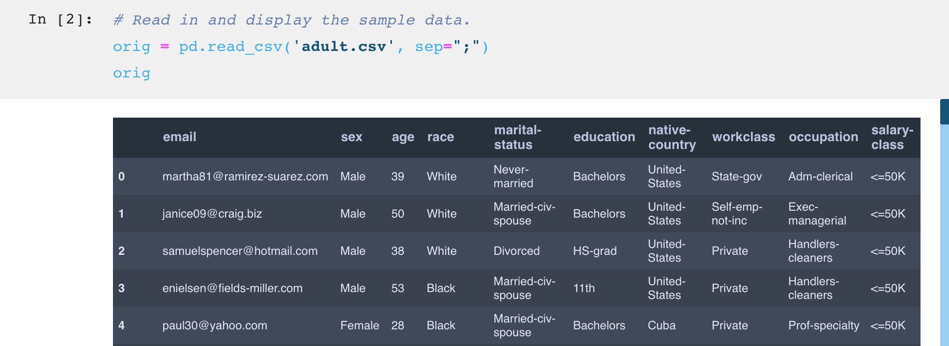 dataset ... and to privacy-protect a using An Python easy way