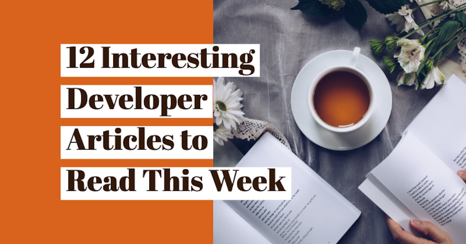 12 Interesting Developer Articles to Read This Week