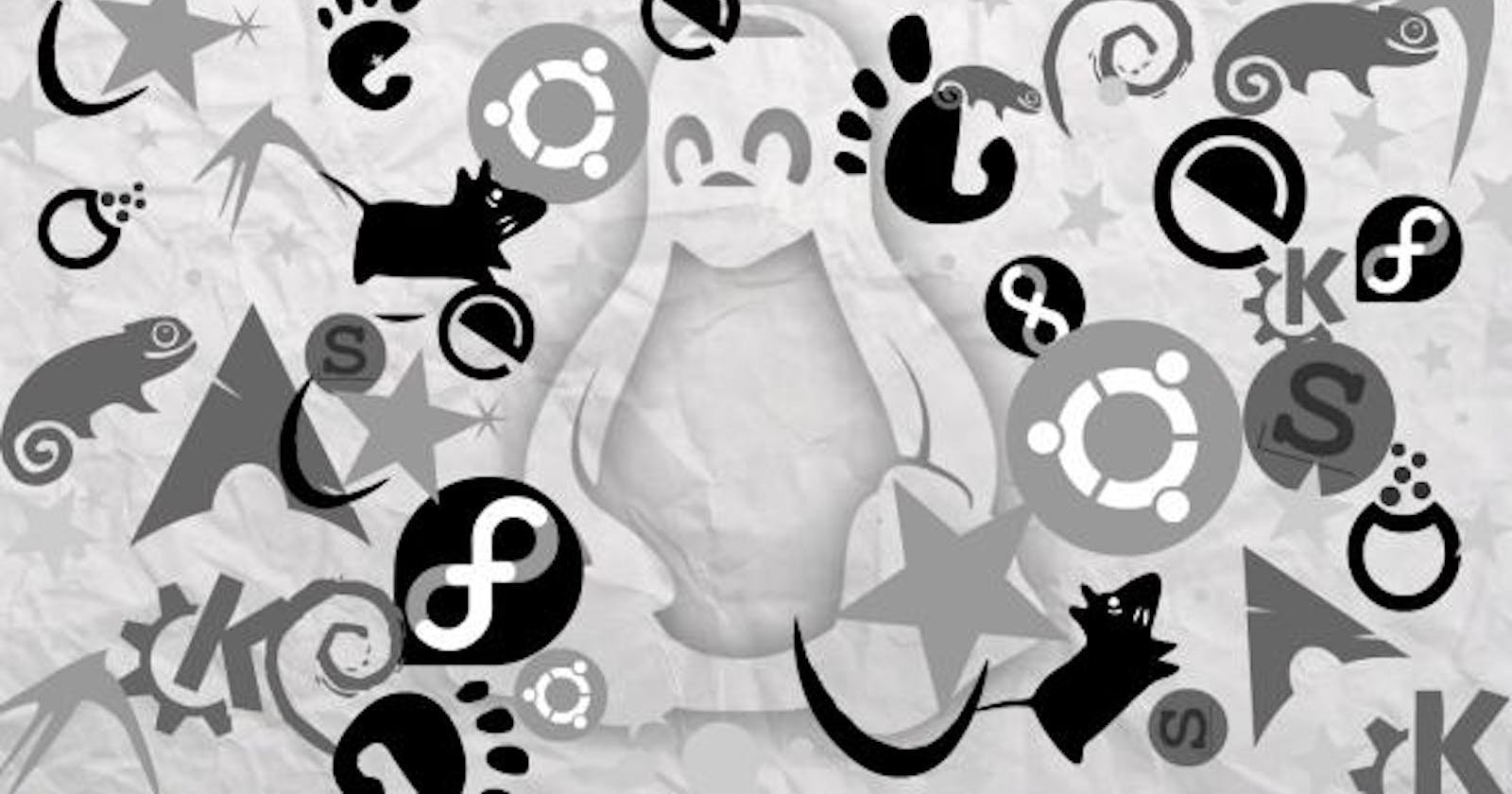 The Best Linux Distro for Developers
