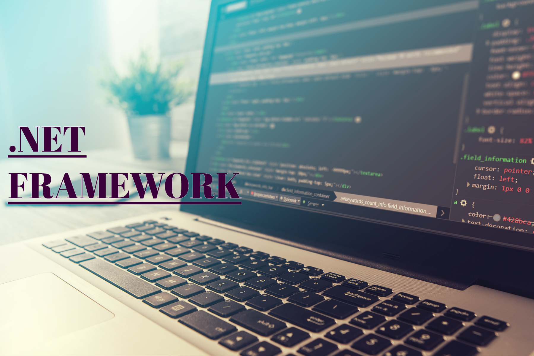 .NET Software Framework - Virtual Machine