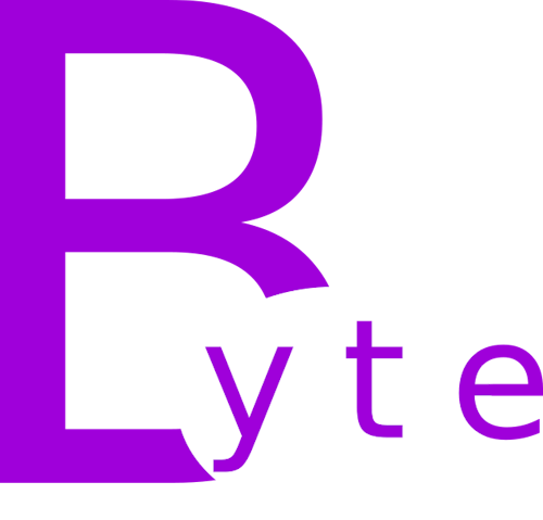 ByteView Systems