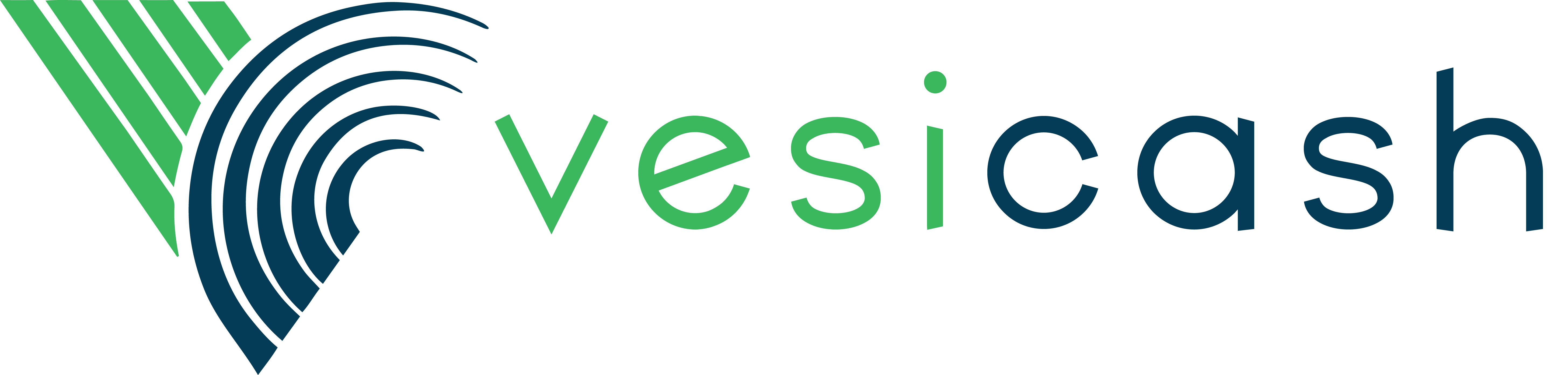 vesicash logo 1536 x 766 (1).png