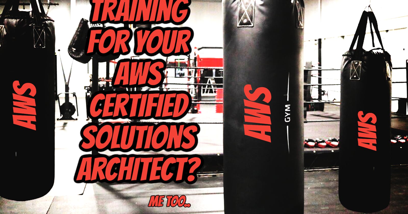 Training for your AWS Certified Solutions Architect?