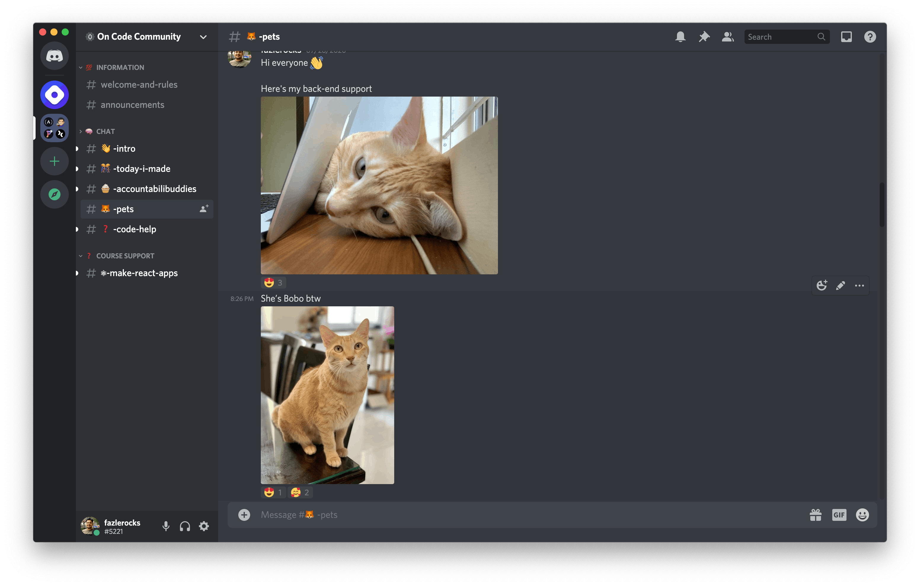 Scotch's Pets channel on Discord
